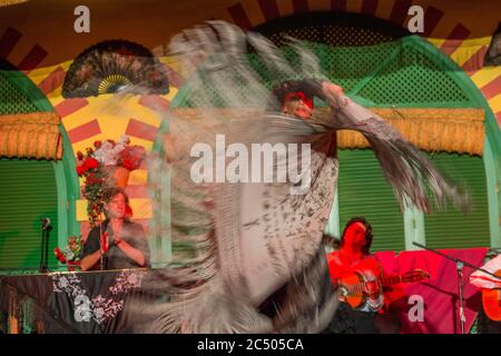 Ballerini e musicisti che suonano il Flamenco, una forma di musica folk spagnola e danza, durante uno spettacolo di cena a Siviglia, Andalusia, Spagna. Foto Stock