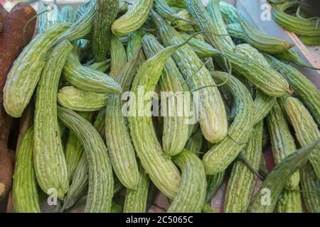 Un mucchio di frutti freschi di melone di amaro (Momordica charantia), ampiamente utilizzati nelle cucine dell'Asia orientale, del Sud Asia e del Sud-Est asiatico, presentato per il sal Foto Stock