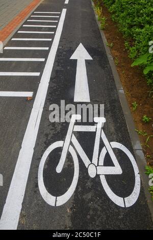 Sezione stradale con segnaletica stradale che regola il movimento dei ciclisti. Cartelli per biciclette sulla strada. Strada in bicicletta con freccia. Bicicletta e moderno ecologico Foto Stock