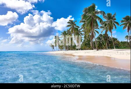 Isola tropicale. Isola deserta. Sabbia bianca pura. Vista della spiaggia dall'acqua. Foto Stock