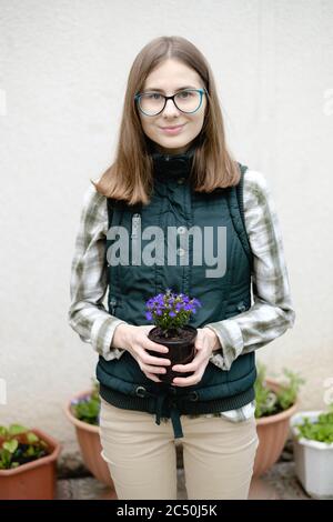 donna trapiantare fiori in vasi di fiori vicino alla sua casa nel giardino Foto Stock