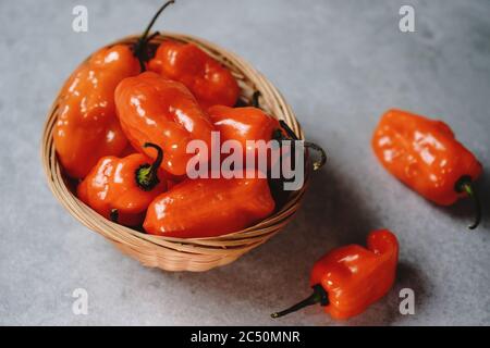 Still Life Habanero Pepper con spazio di copia Foto Stock