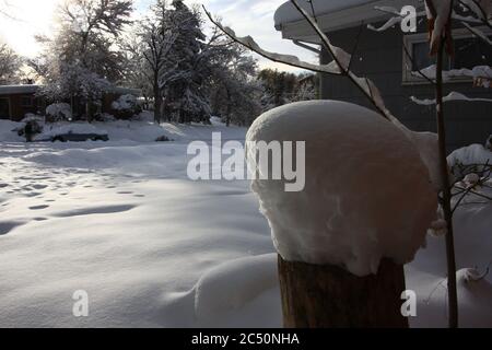 Grande tempesta di neve leggera e potente da 12 pollici a Littleton, Colorado, appena a sud di Denver. Foto Stock