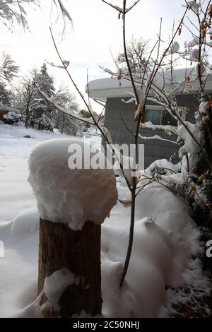 Grande tempesta di neve leggera e potente da 12 pollici a Littleton, Colorado, appena a sud di Denver. Foto Stock