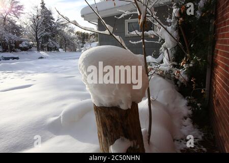 Grande tempesta di neve leggera e potente da 12 pollici a Littleton, Colorado, appena a sud di Denver. Foto Stock