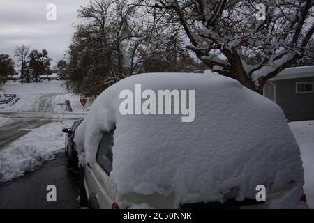 Grande tempesta di neve leggera e potente da 12 pollici a Littleton, Colorado, appena a sud di Denver, con auto coperta di neve profonda. Foto Stock