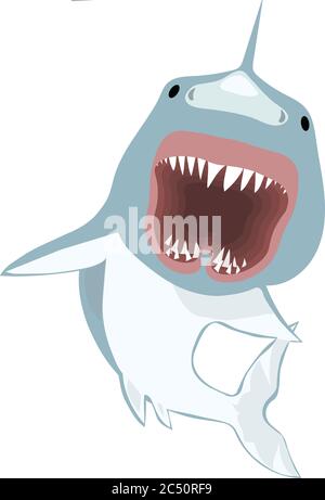 Illustrazione di un attacco di grande squalo bianco Foto Stock