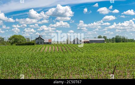 Fattoria paese sotto il cielo bello Foto Stock