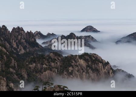 Huangshan o Yellow Mountains si sono travolgiti di nuvole, provincia di Anhui, Cina Foto Stock