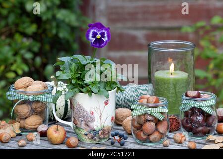 decorazione della tavola con noci in bicchieri e fiore di viola in tazza Foto Stock