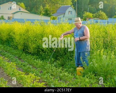 Un uomo anziano in un cappello spruzzi un insetticida sulle cime delle patate. La lotta contro il coleottero di patate del Colorado e altri insetti nocivi. Estate Foto Stock