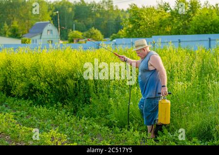 Un uomo anziano in un cappello spruzzi un insetticida sulle cime delle patate. La lotta contro il coleottero di patate del Colorado e altri insetti nocivi. Estate Foto Stock