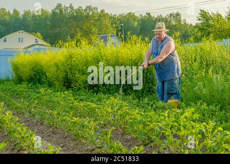 Un uomo anziano in un cappello spruzzi un insetticida sulle cime delle patate. La lotta contro il coleottero di patate del Colorado e altri insetti nocivi. Estate Foto Stock