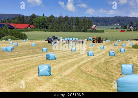 Ambiente rurale con campo di fieno e raggiungere il carrello elevatore impilando balle di insilato sul trattore trainato rimorchio agricolo in una bella giornata d'estate. Foto Stock