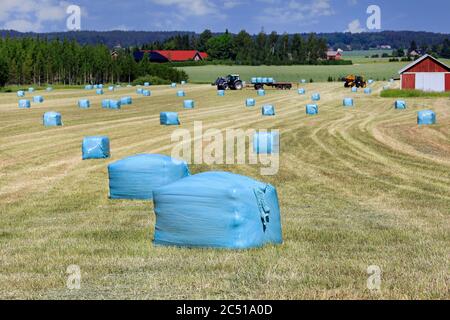 Ambiente rurale con campo di fieno e raggiungere il carrello elevatore impilando balle di insilato sul trattore trainato rimorchio agricolo in una bella giornata d'estate. Foto Stock
