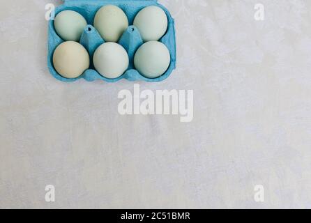 Sei uova di galline blu morbide in cartone blu su sfondo bianco Foto Stock