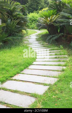 Il pavimento in pietra si snoda attraverso una foresta tranquilla Foto Stock