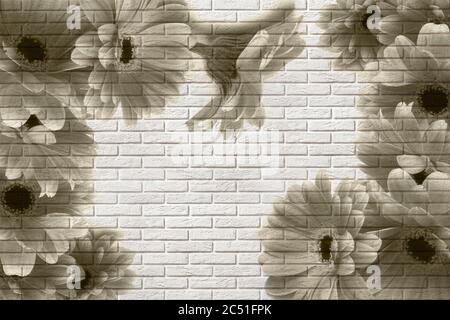 sfondo 3d, gerbere su texture di mattoni bianchi. L'effetto affresco. Foto Stock