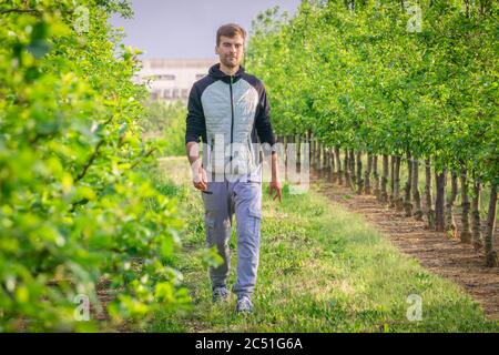 Uomo che cammina da solo sul sentiero in giardino. Maschio su percorso tra alberi da frutto. Un solo ragazzo che cammina tra gli alberi nel parco di campagna. Persona in giardino paesaggista Foto Stock