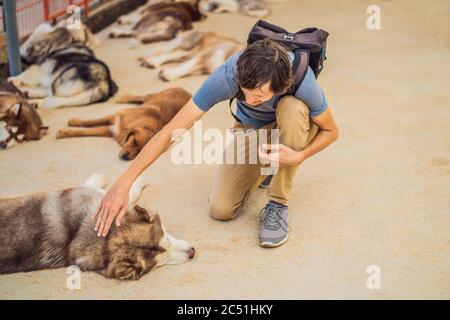 Un uomo che strava un cane. Concetto di protezione degli animali Foto Stock