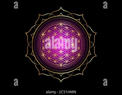 Fiore della vita, Yantra Mandala nel fiore di loto geometria Sacra. Simbolo  dorato luminoso di armonia ed equilibrio. Mistico talismano oro lucido  colorato Immagine e Vettoriale - Alamy