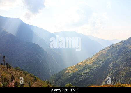 Risaie su terrazze in Himalaya, Nepal, Annapurna Conservation Area. Paesaggi rurali. Foto Stock