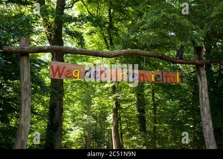 Ingresso al percorso della biodiversità nella zona di Waldau a Kottenforst, Bonn, Renania Settentrionale-Vestfalia, Germania. Eingang zum Weg der Artenvielfalt in der Foto Stock