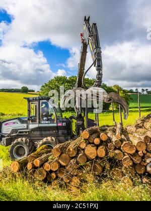 Logset 6F GT macchina 'forwarder' tutto il terreno che porta tronchi dalla foresta a accesso stradale - sud-Touraine, Francia. Foto Stock