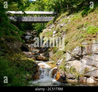 Sentinel Pine Covered Bridge su gola, Franconia Notch state Park, New Hampshire, Stati Uniti Foto Stock