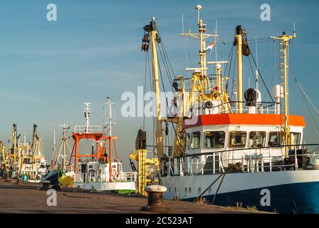 Barche da pesca in un porto nei Paesi Bassi Foto Stock
