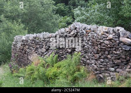 Un tipico muro di contenimento in pietra secca dello Yorkshire al confine del Digley Reservoir nello Yorkshire occidentale con felci e foglie naturali intorno ad esso Foto Stock
