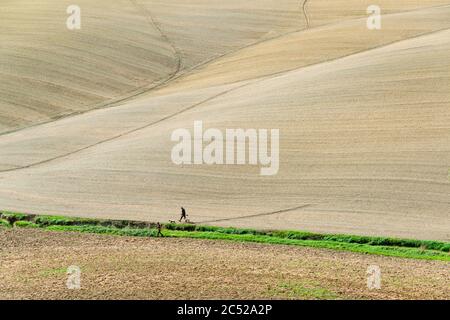 Die Crete Senesi südlich von Siena im Herbst. Nach der Ernte kommt der erdige Charakter der Landschaft durch die verschiedenen Farben des Ackerbodens Foto Stock