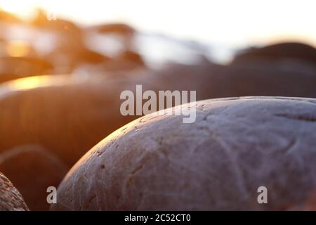 Pietre e rocce sassose sulla spiaggia illuminate al sole nella serata closeup, texture tramonto e alba Foto Stock