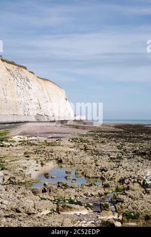 La passeggiata sotto scogliera che fa parte del Seahaven Coastal Trail a Sussex, Regno Unito Foto Stock