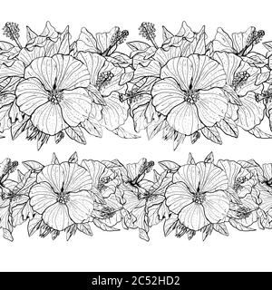 Due spazzole colorate e monocromatiche di fiori di ibisco senza cuciture disegnate a mano. Set di bordi floreali senza fine. Isolato su sfondo bianco. Vettore Illustrazione Vettoriale
