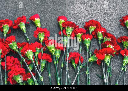 Garofani rossi su una lastra di marmo. Simbolo di lutto. Fiori di posa Foto Stock