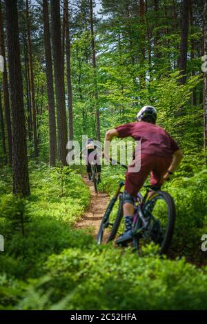 Uomo e donna in mountain bike attraverso la foresta, Klagenfurt, Carinzia, Austria Foto Stock
