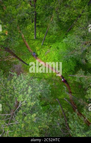 Vista aerea di un uomo e di una donna in mountain bike attraverso la foresta, Klagenfurt, Carinzia, Austria Foto Stock