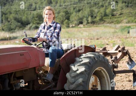 Esperti giovane donna alla guida di piccole trattore agricolo, la lavorazione del terreno sul suo orto Foto Stock