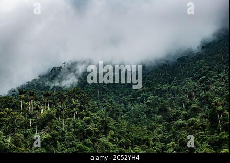 Paesaggio la Sierra Nevada in Colombia, Sud America Foto Stock