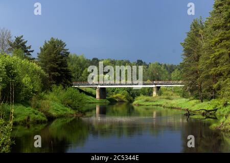 ponte di cemento sul fiume tra la foresta Foto Stock