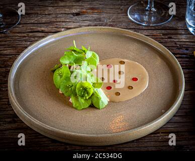 Piatto gourmet: Sotto il mantello verde nasconde carne di granchio dalla testa del granchio ragno. La salsa viene rifinita con mandorla e olio di pistacchio Foto Stock