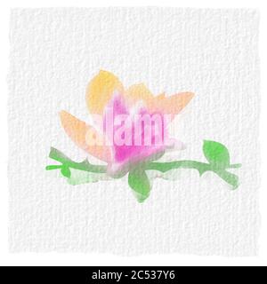 Motivo acquerello. Petalo di fiori rosa. Disegno acquerello. Fiori rosa Foto Stock