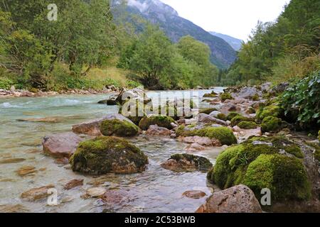 Fiume Krnica colorato nella valle di Krnica vicino a Kranjska gora nel parco nazionale del Triglav in Slovenia Foto Stock