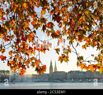 Autunno all'Inner Alster ad Amburgo Foto Stock