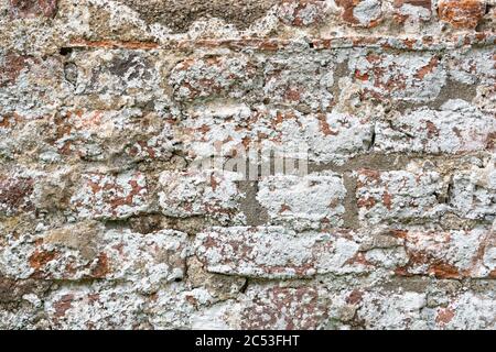 Primo piano di un muro di mattoni molto indossato e stagionato bianco lavato Foto Stock