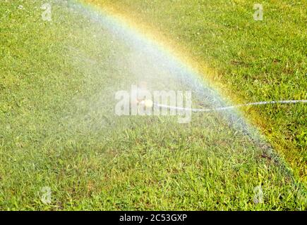 Acqua del prato spruzzare acqua su prato erba verde fresca. Irrigatore prato in azione innaffiatura erba. Foto Stock