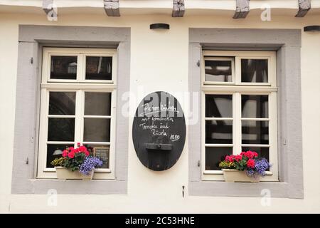 Fiore Pot in davanzale, Germania Foto Stock