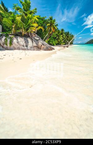 Vacanza giorno luminoso sfondo sfondo carta da parati. Palme su una spiaggia di sabbia tropicale appartata. Cielo blu con nuvole bianche. Foto Stock