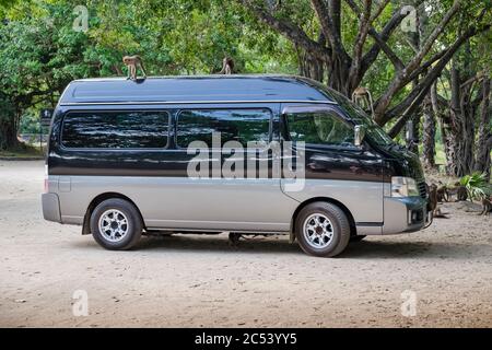 Tour in autobus parcheggiato che sale sulla scimmia, Sri Lanka Foto Stock